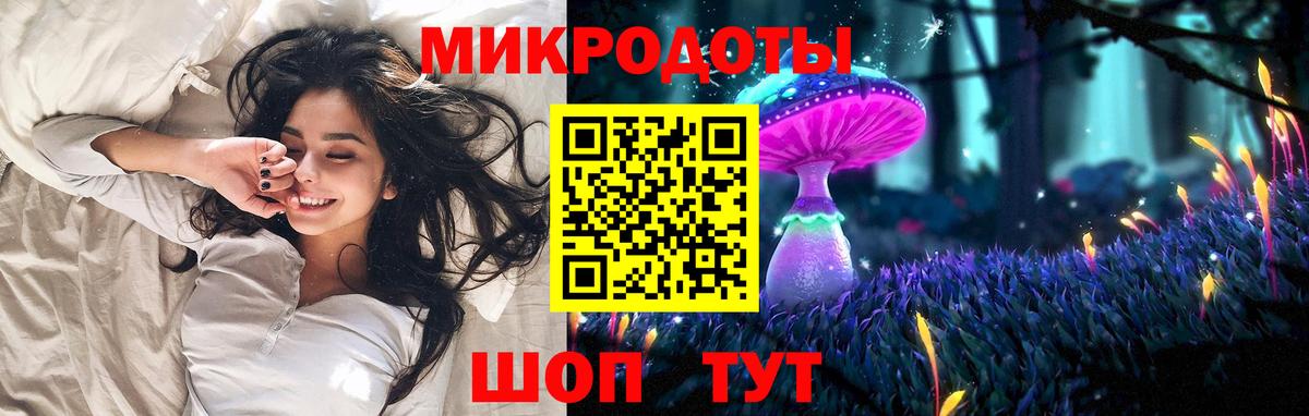 Псилоцибиновые грибы Psilocybine cubensis  Вход с VPN  Псилоцибиновые грибы прущие грибы  Клинцы 